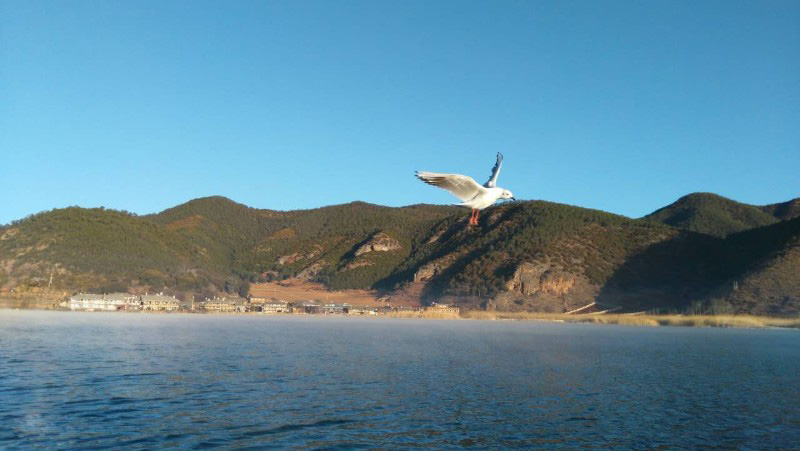 西昌瀘山邛海、知青博物館、摘草莓雙汽三日游